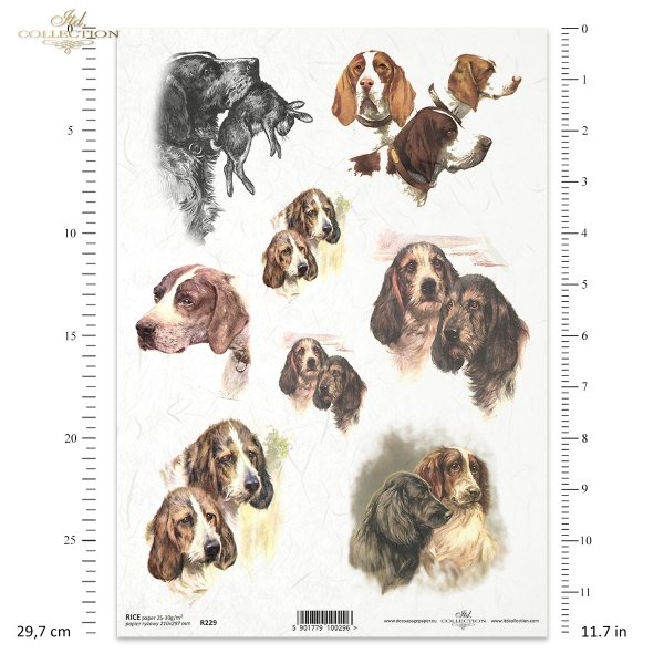 retro and vintage, hunting, hunting dogs, dog, dog muzzles, dog heads 