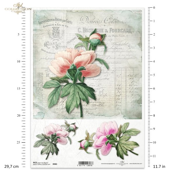 peonia, peonie, piwonia, piwonie, kwiat, ogród, lato, stare faktury handlowe, R983, peony, peonies, flower, garden, summer, old commercial textures, Pfingstrose, Blume, Garten, Sommer, alte Handelstexturen, peonía, flor, jardín, verano, texturas del comer
