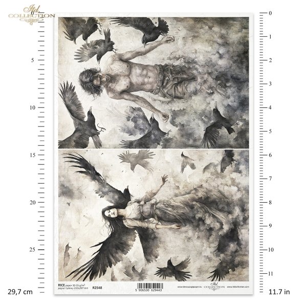 demons, transformation, woman, women, man, ravens, crows, rooks, birds, evil, mystery, wing, wings, Schwarz &amp; Weiß, Dämonen, Verwandlung, Frauen, Mann, Raben, Krähen, Vögel, böse, Geheimnis, Flügel, Blanco y Negro