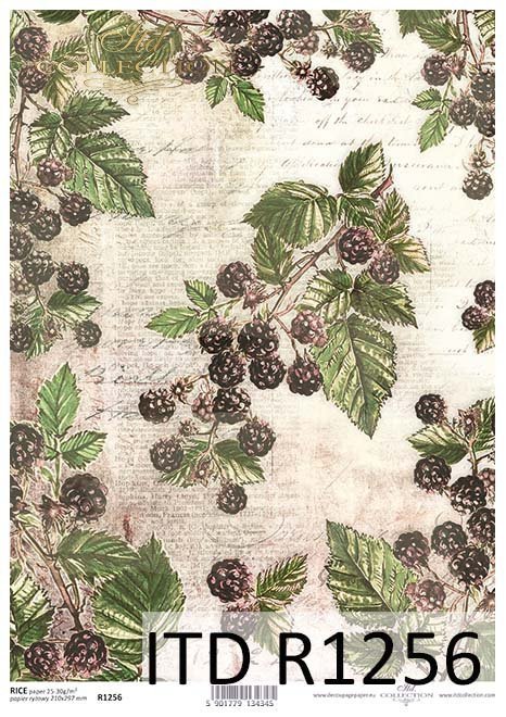 papier decoupage owoce, dzikie jeżyny*Paper decoupage fruit, wild blackberries