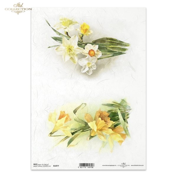 wiosenne kwiaty, żonkil, żonkile, narcyz, narcyzy, bukiet, kwiat, łąka, ogród, wiosna, spring flowers, daffodil, daffodils, narcissus, narcissi, bouquet, flower, meadow, garden, spring, Frühlingsblumen, Narzisse, Narzissen, Strauß, Blume