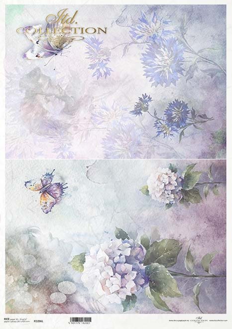 akwarelowe tła, kwiaty, hortensja, motyle, chabry, zakochane pary*Watercolour backgrounds, flowers, hydrangea, butterflies, cornflowers, couples in love