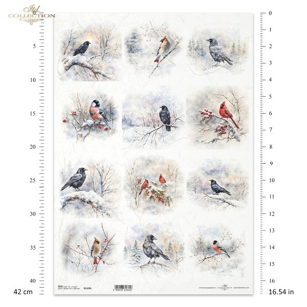 zimowe ptaki, kruki, wrony, kardynał, jemiołuszka, gil*winter birds, ravens, crows, cardinal, mistletoe, guillemot*Wintervögel, Raben, Krähen, Kardinal, Mistel, Trottellumme