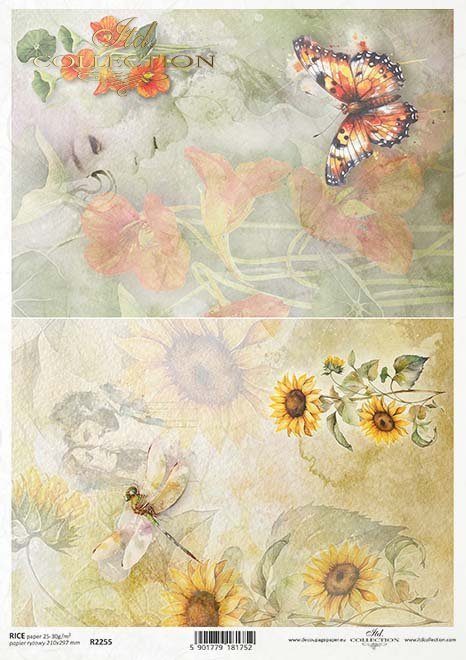 akwarelowe tła, kwiaty, słoneczniki, ważka, motyl, nasturcja, zakochane pary*Watercolour background, flowers, sunflowers, dragonfly, butterfly, nasturtium, couples in love