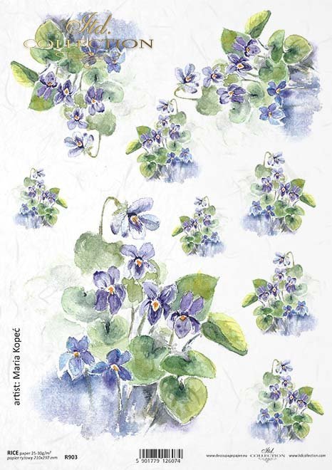 fiołek, fiołki, kwiat, ogród, łąka, wiosna, autorka grafiki Maria Kopeć, R903, violet, flower, garden, meadow, spring, Veilchen, Blume, Garten, Wiese, Frühling, violeta, violetas, flor, jardín, prado, primavera