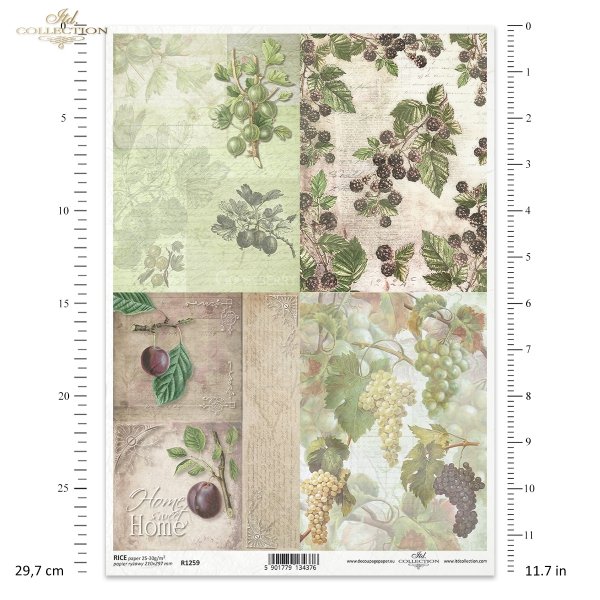 home sweet home,  grape, grapevine, gooseberry, blackberry, plums, fruit, branch, leaves, old lettering, retro, handwriting, old paper, letter, background, decors, ornaments, corners, Weintraube, Weinrebe