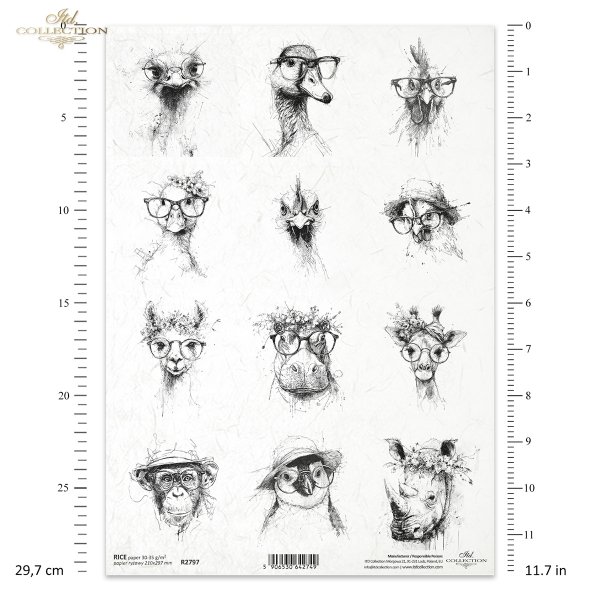 zwierzęta, okulary, kapelusze, wianki, czarno-białe, szkic, tusz, hipster, ilustracja, plakat, nowoczesny, grafika, portret, struś, kaczka, kogut, kura, sowa, alpaka, hipopotam, żyrafa, małpa, pingwin, nosorożec*animals, glasses, hats, wreaths, black and 