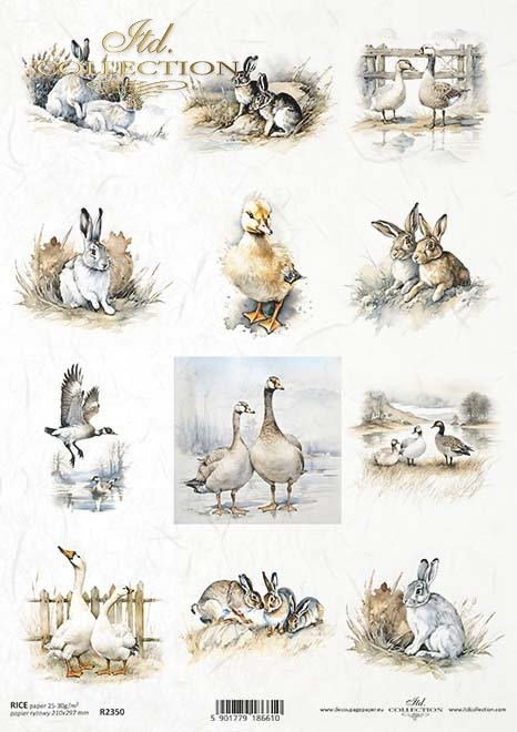 seria Early Spring -  króliki, gęsie, zające*rabbits, geese, hares*Kaninchen, Gänse, Hasen*conejos, gansos, liebres