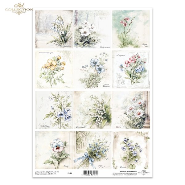 Przebiśnieg, zawilec, firletka Poszarpana, Komonica zwyczajna, Przylaszczka, Miodunka, dzwonek, konwalia, stokrotka, bratek, niezapominajka, fiołki*snowdrops, anemones, marsh comfrey, bird's-foot trefoil, hellebore, meadow foxtail, bellflower, lily of th