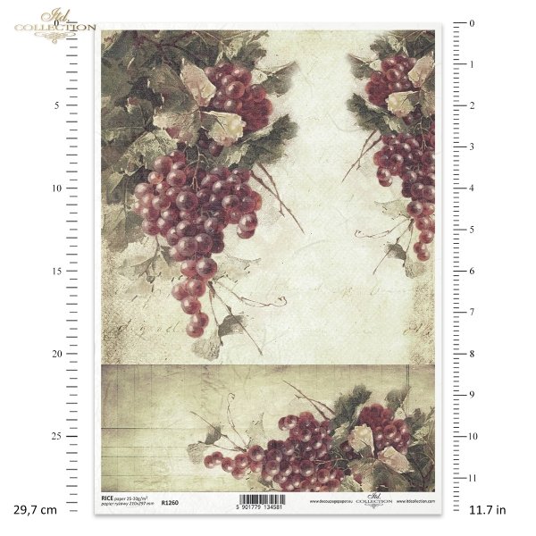 fruit, grapes, grapevine, grape cluster, twig, leaves, old lettering, retro, handwriting, old paper, letter, floral background, Frucht, Obst, Weintraube, Weinstock, Traube, Zweig, Blätter, alte Schrift, retro, Handschrift