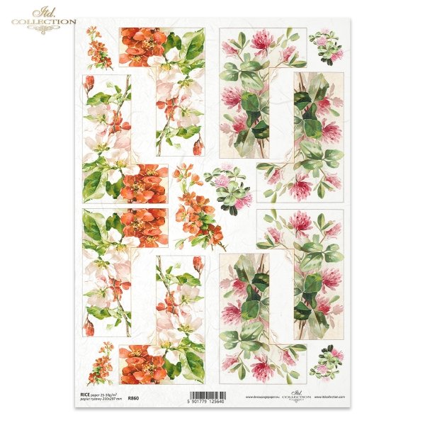 pigwa, pigwowiec, koniczyna, koniczynka, łąka, ogród, kwiat, kwitnąca jabłoń, wiosna, R860, quince, quince tree, clover, meadow, garden, flower, blossoming apple tree, spring, Quitte, Quittenbaum, Klee, Klee, Wiese, Garten, Blume, blühender Apfelbaum, Frü