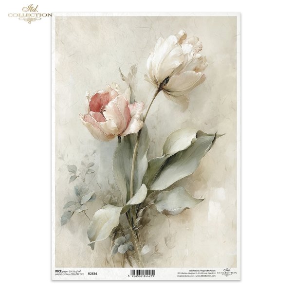 vintage, flora, bukiety, kwiaty, botanika, tulipan