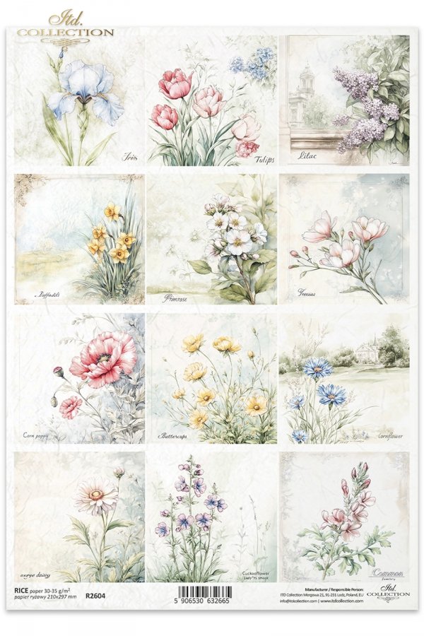 kwiaty, mak, jaskier, chaber, złocień łąkowy, rzeżucha łąkowa, dymnica pospolita, Irys, tulipan, bez, lilak, narcyz, prymulka, frezja*flowers, poppy, ranunculus, cornflower, meadow goldenrod, meadow cress, common cress, iris, tulip, lilac, narcissus