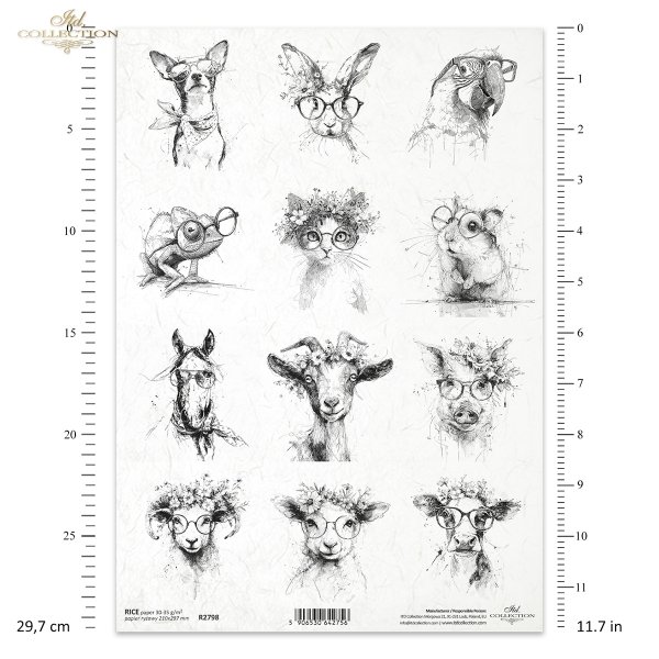 zwierzęta, okulary, kapelusze, wianki, czarno-białe, szkic, tusz, hipster, ilustracja, plakat, nowoczesny, grafika, portret, struś, kaczka, kogut, kura, sowa, alpaka, hipopotam, żyrafa, małpa, pingwin, nosorożec*animals, glasses, hats, wreaths, black and 
