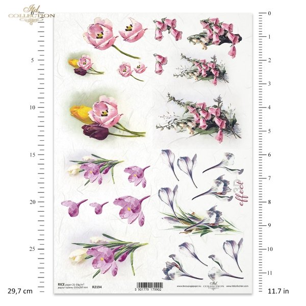wiosna, wiosenne kwiaty, ogród, krokus, krokusy, tulipan, tulipany, naparstnica, kwiaty 3D, 3D efekt, spring flowers, garden, crocus, crocuses, tulip, tulips, foxglove, 3D flowers, 3D effect, Frühling, Frühlingsblumen, Garten, Krokus