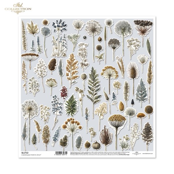 ususzone kwiatki, zioła, rośliny, suszki*dried flowers, herbs, plants, dries*Trockenblumen, Kräuter, Pflanzen, getrocknet*flores secas, hierbas, plantas, seca