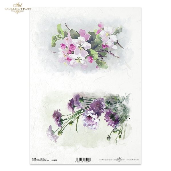 wiosenne kwiaty, kwitnący czosnek, kwiaty czosnku, kwiaty jabłoni, kwitnąca jabłoń, kwiat wiśni, wiśnia, łąka, ogród, wiosna, spring flowers, flowering garlic, garlic flowers, apple blossoms, apple blossom, cherry blossom, cherry tree