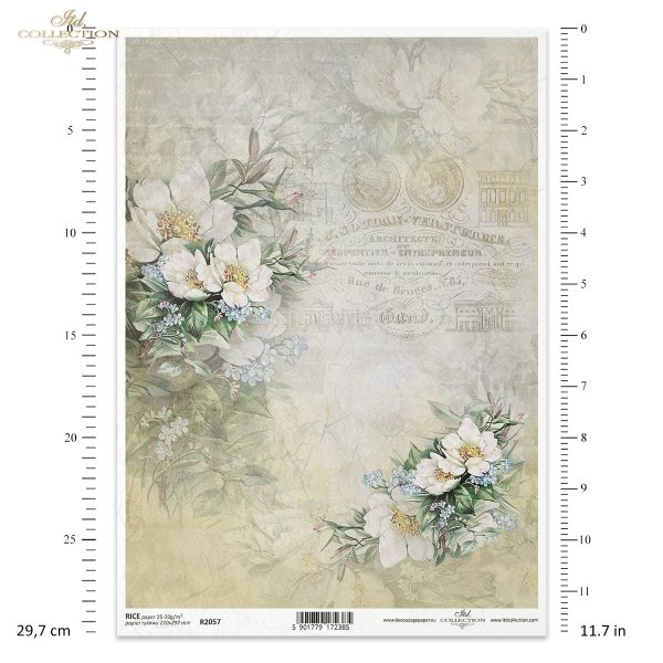 Kwiatowa Poczta, w bieli, niezapominajka, niezapominajki, kwiaty jabłoni, ogród, lato, kolaż, napisy, retro tło, Flower Post, in white, forget-me-not, forget-me-nots, apple blossoms, garden, summer, collage, captions, background, Flower 