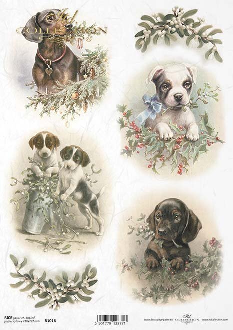 dog heads, Christmas decorations, holly, mistletoe, Tiere, Hund, Hundeköpfe, Weihnachtsschmuck, Stechpalme, Mistelzweig, animales, perro, cabezas de perro, decoraciones navideñas, acebo, muérdago 