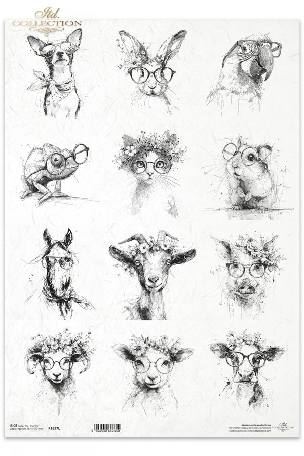 zwierzęta, okulary, kapelusze, wianki, czarno-białe, szkic, tusz, hipster, ilustracja, plakat, nowoczesny, grafika, portret, struś, kaczka, kogut, kura, sowa, alpaka, hipopotam, żyrafa, małpa, pingwin, nosorożec*animals, glasses, hats, wreaths, black and 