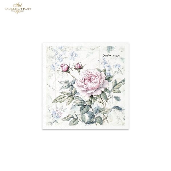 Rice paper set RSM177
