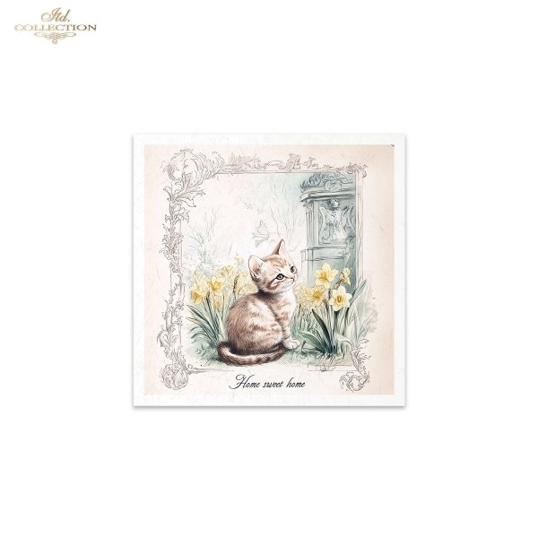 Rice paper set RSM165