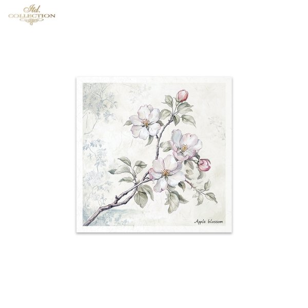 Rice paper set RSM176