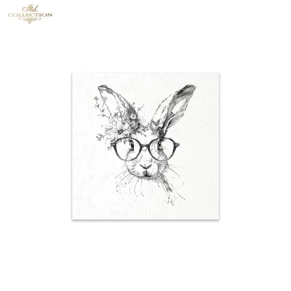 Rice paper set RSM255