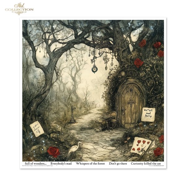 Alice's Magic - A tale of a world that has forgotten logic vol. 2 * Czary Alicji - Opowieść o świecie, który zapomniał logiki vol. 2