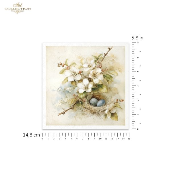 Rice paper set RSM248