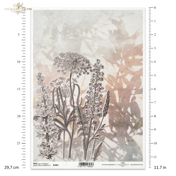 kwiaty polne, dzikie kwiaty, łąka, zioła, akwarela, akwarele, tło, tła, struktura płótna, Summer meadow, grass, grasses, field flowers, wild flowers, meadow, herbs, watercolour, background, canvas structure, Gras, Gräser, Feldblumen