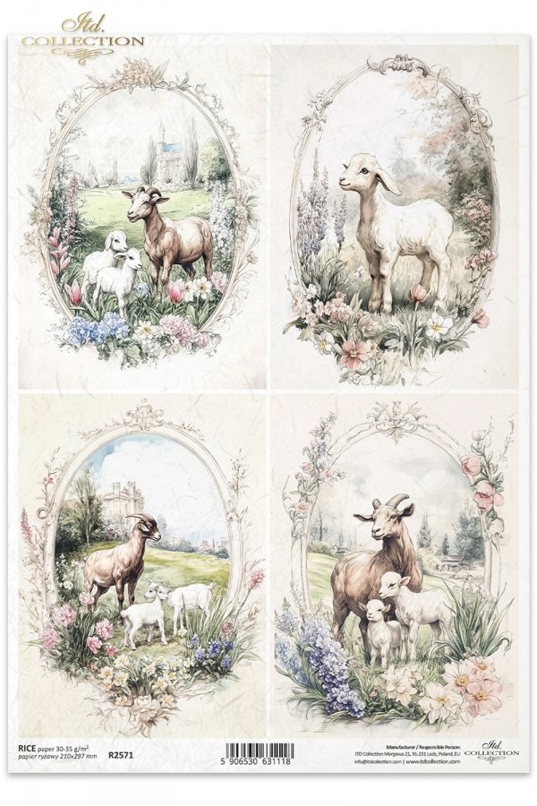 kozy, wiejskie zwierzęta, wiosenne klimaty, rustykalny styl*goats, countryside animals, springtime climate, rustic style*Ziegen, Tiere auf dem Lande, Frühlingsklima, rustikaler Stil*cabras, animales de campo, clima primaveral, estilo rústico