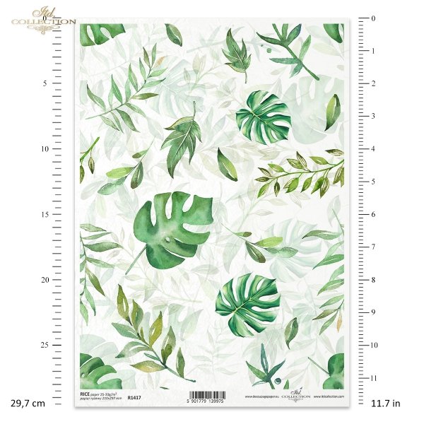 zielono-niebieskie, zielone, liść, liście, monstera, monstery, filodendron, filodendrony, green-blue, green, leaf, leaves, monstera, philodendrons, grün-blau, grün, Blatt, Blätter, Monstera, Philodendrons, verde-azul, verde, hojas