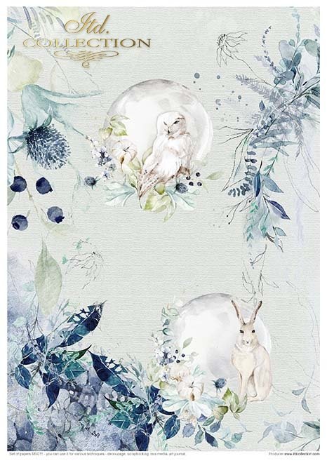 Creative Set MS011 The world of ice porcelain