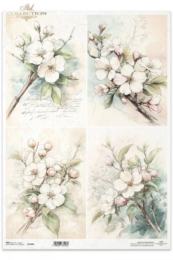 kwiaty flowers Blumen flores 