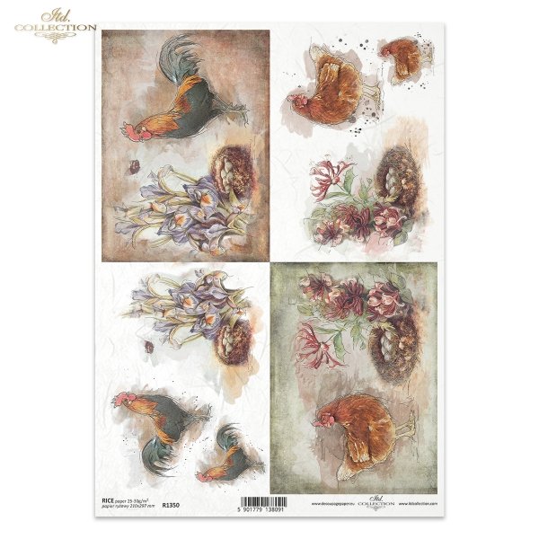 kura, kury, kurczaki, kogut, koguty, kwoka z jajkami, jajka w gnieździe, gniazdo, dumny kogut i samotna kurka, interesujące tło z różnorodnymi ornamentami, pastelowe tło, zwierzęta gospodarskie, Magda Stanczew