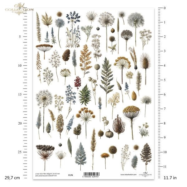 ususzone kwiatki, zioła, rośliny, suszki*dried flowers, herbs, plants, dries*Trockenblumen, Kräuter, Pflanzen, getrocknet*flores secas, hierbas, plantas, seca