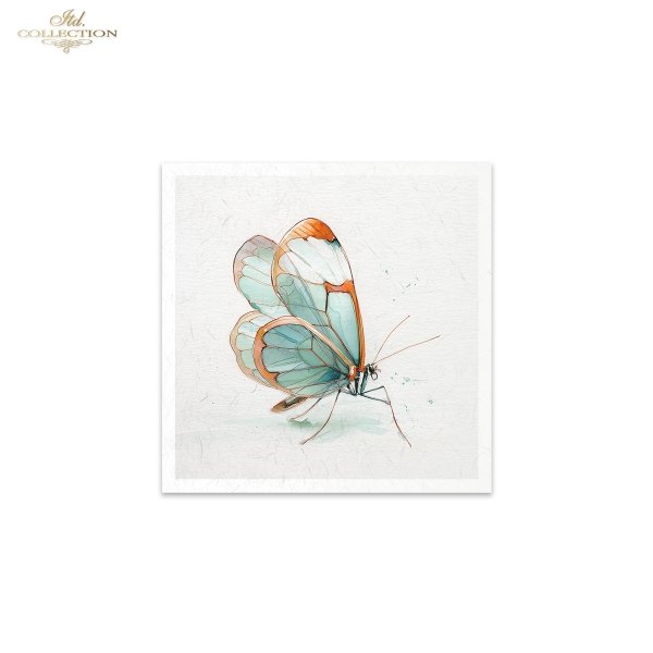 Rice paper set RSM270