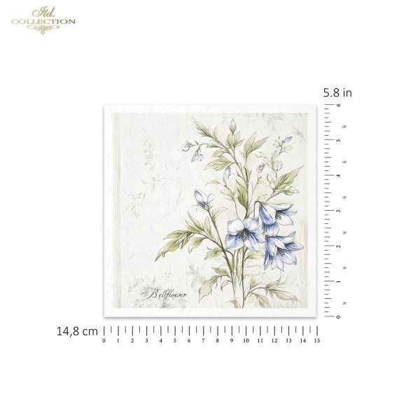 Rice paper set RSM174