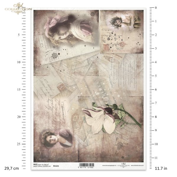 postcards, letters, old papers, old, magnolia, flowers, portrait, woman, women, photography, photos, Postkarten, Briefe, alte Papiere, alt, Magnolie, Blumen, Porträt, Frauen, Fotografie, Fotos, postal, postales, carta, papeles viejos