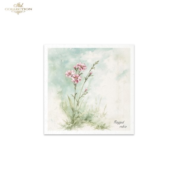 Rice paper set RSM172