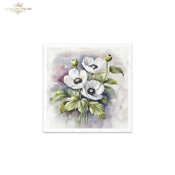letnie kwiaty, bukiet kwiatów*Summer flowers, flower bouquet*Sommerblumen, Blumenstrauß*Flores de verano, ramo de flores 