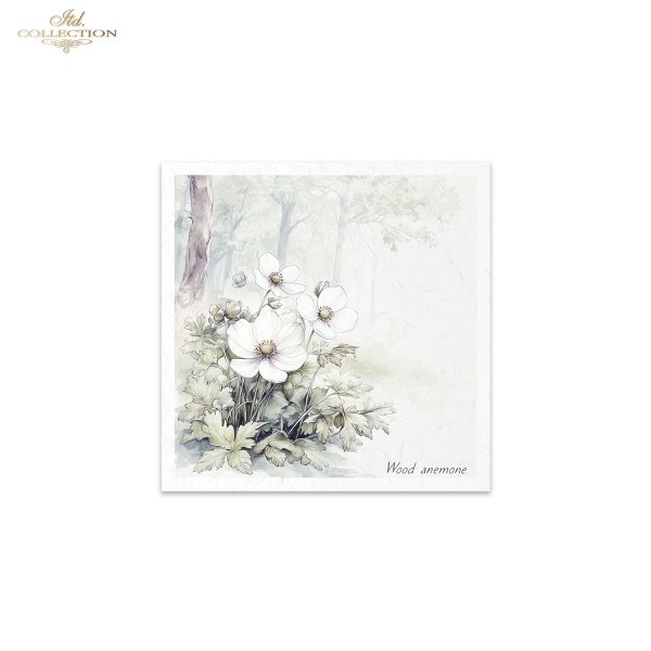 Rice paper set RSM172