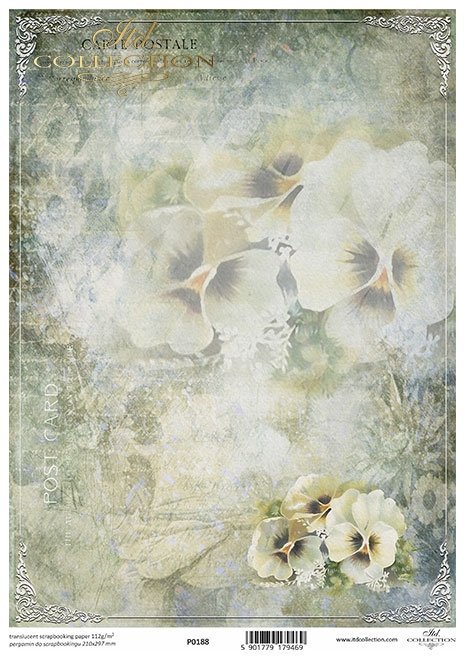 Seria Flower Post - White, Kwiatowa Poczta w bieli,; bratki*pansies*Stiefmütterchen*nomeolvides, flores frutales