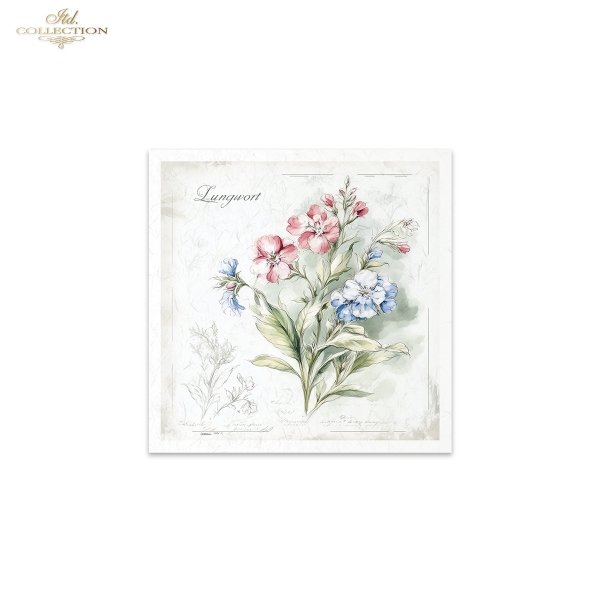 Rice paper set RSM172