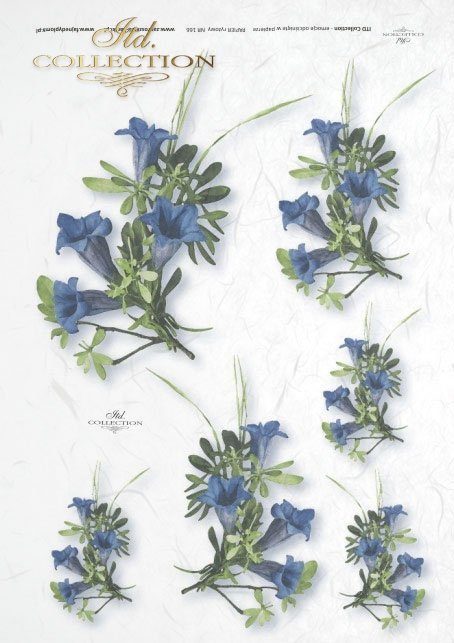  papier-ryżowy-decoupage-łąka-ogród-lato-bukiet-kwiaty-R0166