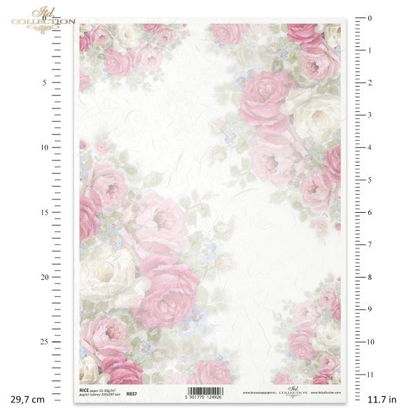  róża, róże, ogród, kwiat, wiosna, lato, pastel, R837, rose, garden, flower, spring, summer, pastel, Rose, Rosen, Garten, Blume, Frühling, Sommer, Pastell, rosa, rosas, jardín, flor, primavera, verano, pastel 