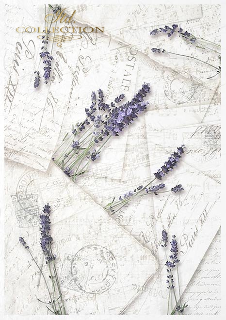 Conjunto creativo en papel de arroz - Hermosas flores*Kreativsatz auf Reispapier - schöne Blumen*Креативный набор на рисовой бумаге - Красивые цветы