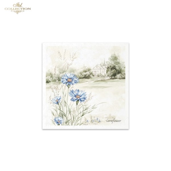 Rice paper set RSM175