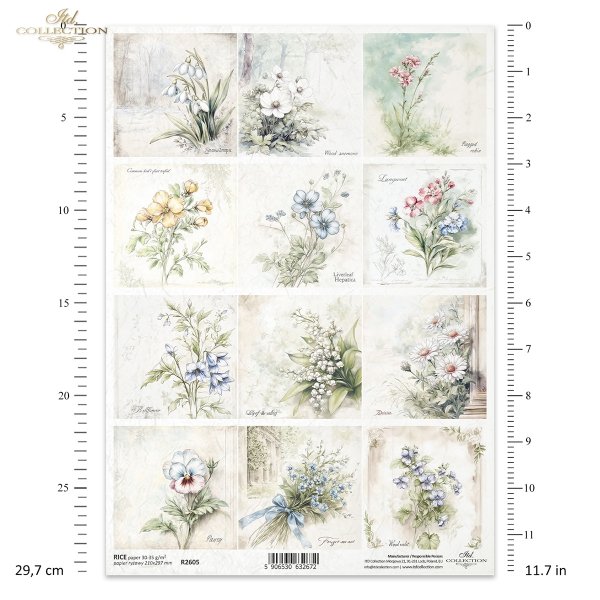 Rice paper R2605